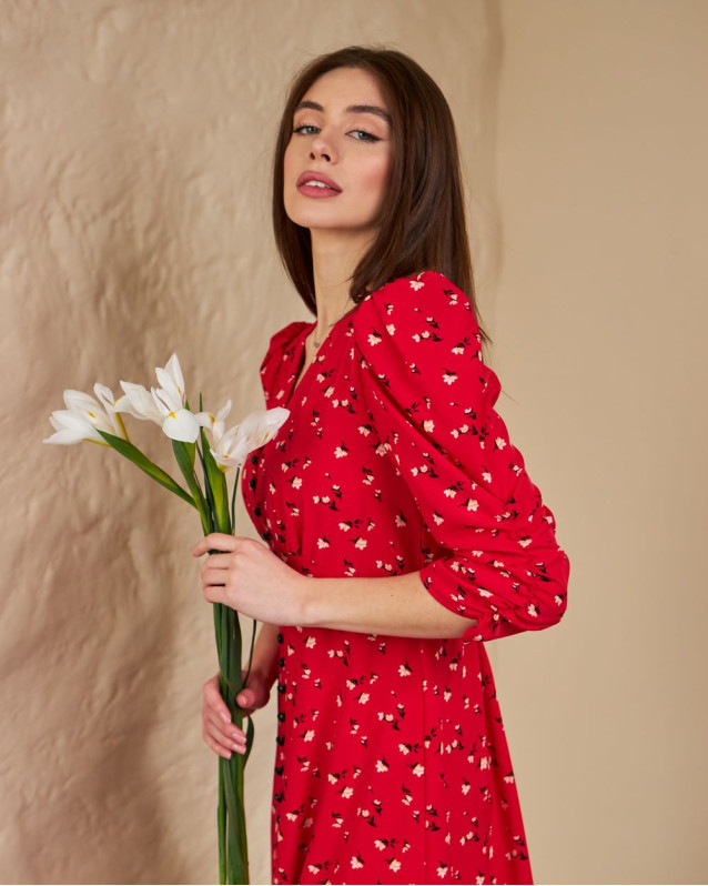 модель №856 червоний 856 зображення 479